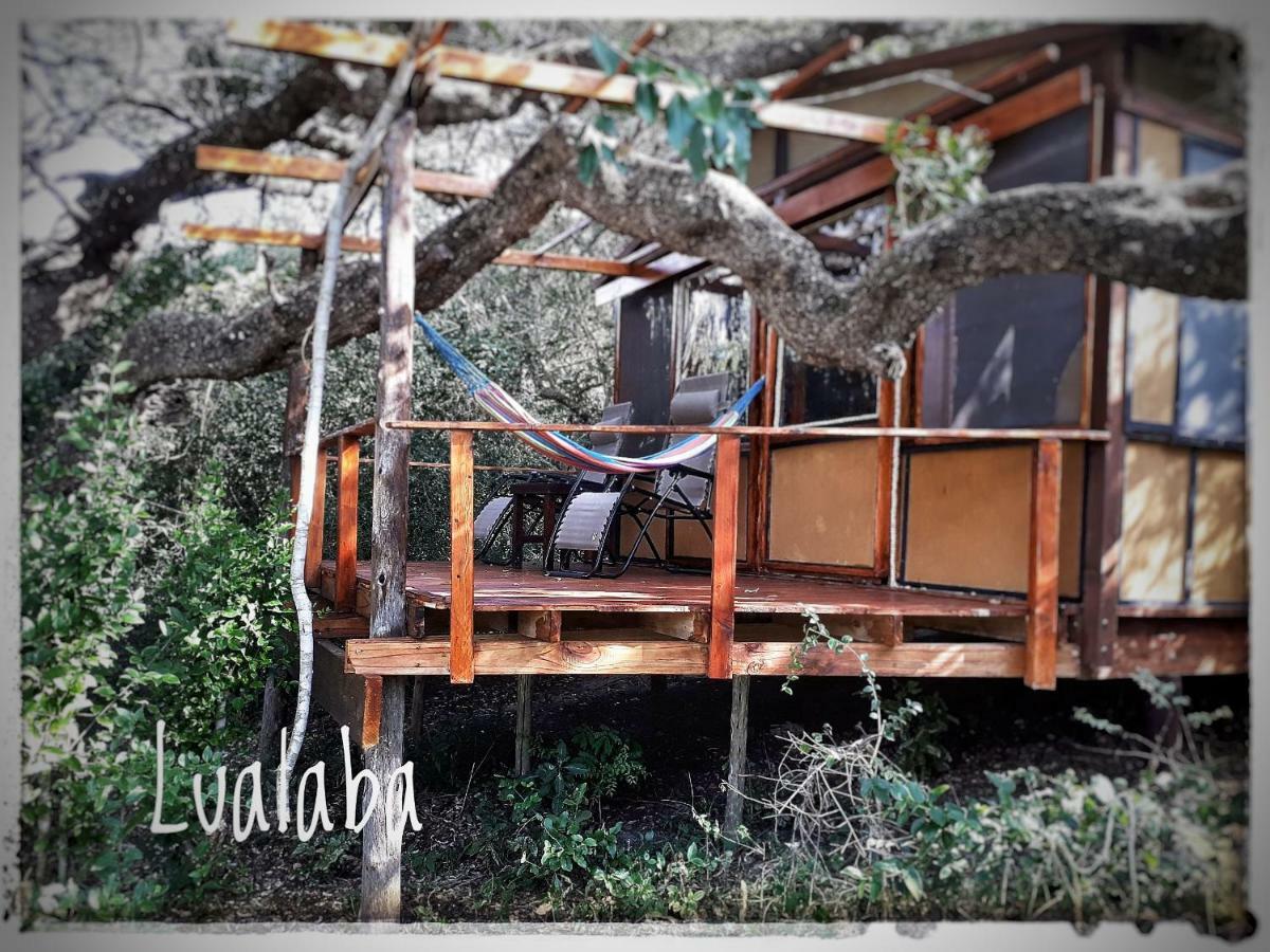 Chinderera Eco Lodge Manguzi Bagian luar foto